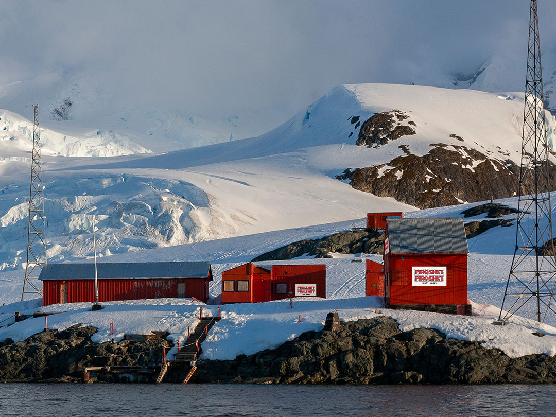 Grab A Piroshky From Seattle s Famous Bakery On Your Commute Or Before grab-a-piroshky-from-seattle-s-famous-bakery-on-your-commute-or-before